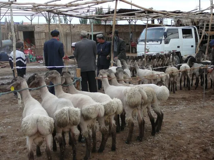 Geiten markt Kashgar
